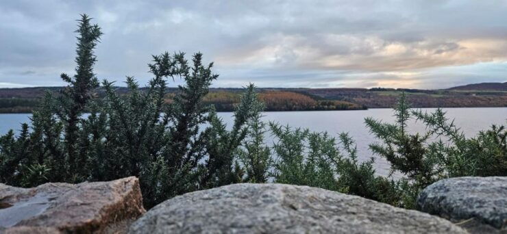 Inverness: Loch Ness Experience 1-Day Tour - Tour Details