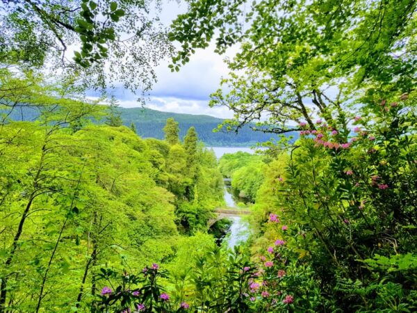 Inverness: Private Secret Hike to the Shores of Loch Ness - Scenic Loch Ness Drive
