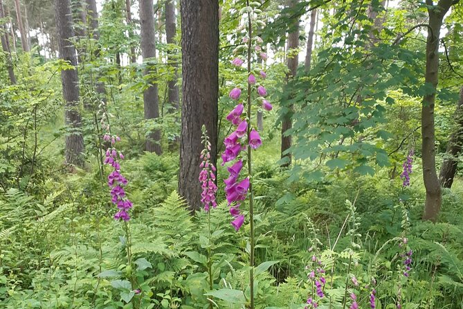 Inverness: Small-Group Highlands Tour, Incl. Applecross - Reviews and Ratings