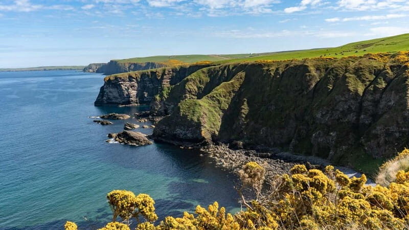 Inverness: Whisky, Wildlife, and Beaches Day Tour - Authentic Experiences from Reviews