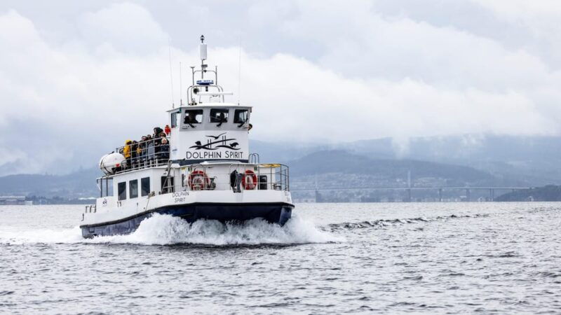 Inverness: Wildlife Watching Cruise to Chanonry Point - Good To Know