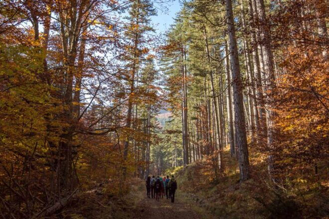 Ioannina: Valia Calda Off-Road & Cooking Experience - Activity Details