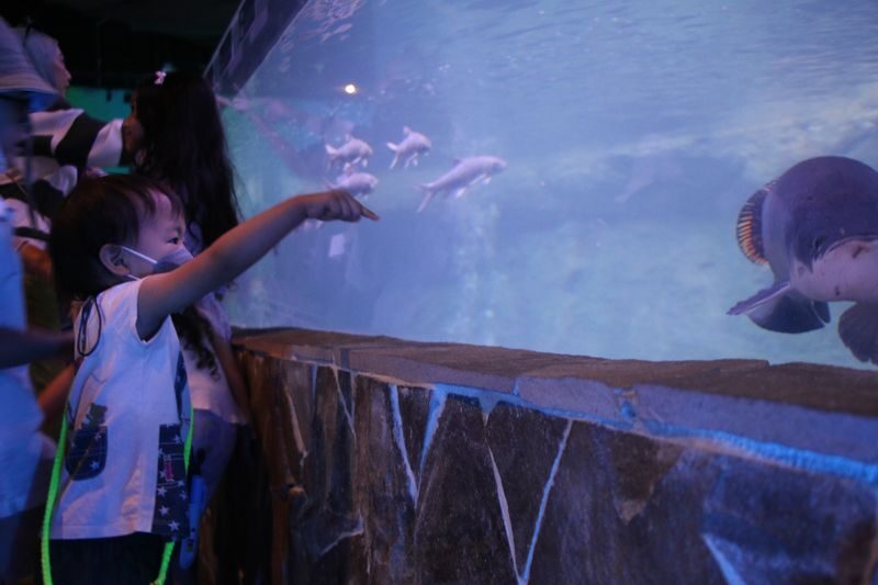 IOI City Farm Ticket in IOI City Mall Putrajaya - What to know before you go