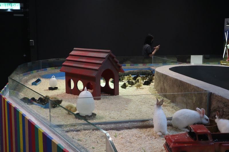 IOI City Farm Ticket in IOI City Mall Putrajaya - A mall attraction with a nature focus
