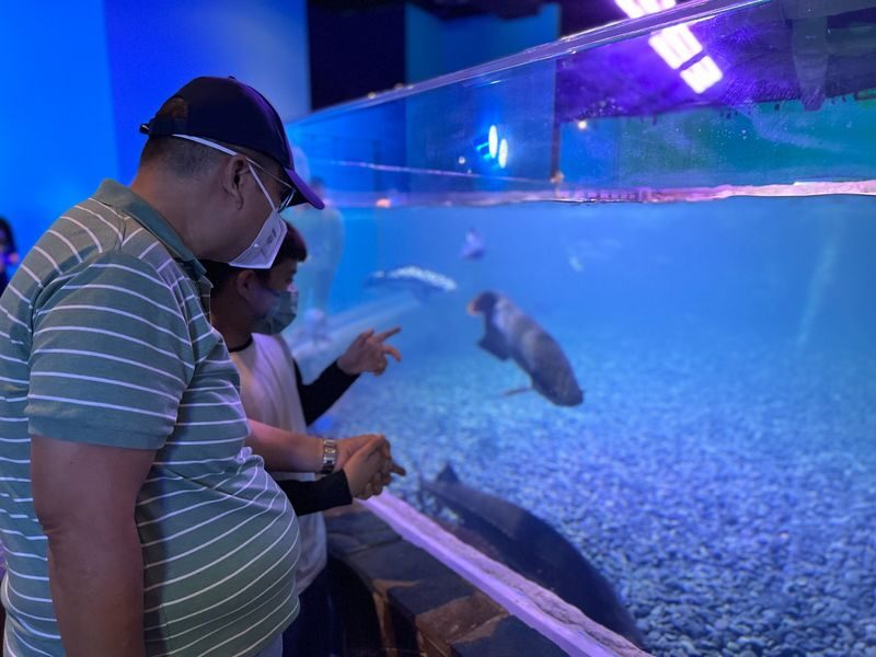 IOI City Farm Ticket in IOI City Mall Putrajaya - The best fit is usually a younger child