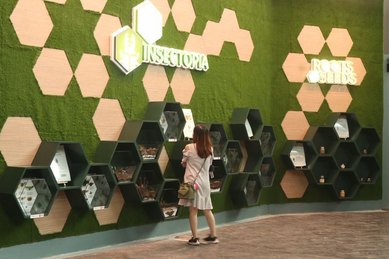 IOI City Farm Ticket in IOI City Mall Putrajaya - What the ticket price buys