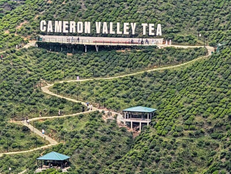Ipoh: Cameron Highlands Day Tour tea plantation with lunch - Who Should Consider This Tour?