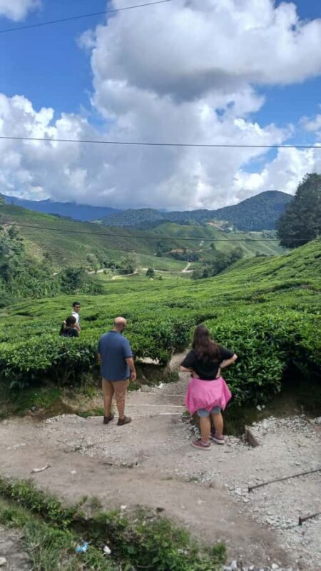 Ipoh: Cameron Highlands Private Day Trip with Driver - Good To Know