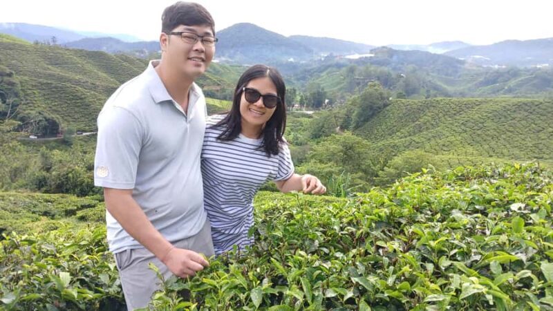 Ipoh: Cameron Highlands Private Day Trip with Driver - A closer look at what this tour offers