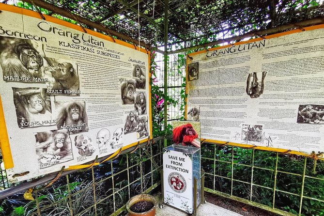 Ipoh & Orang Utan Island Day Tour From Kuala Lumpur - Viator Travelers Reviews