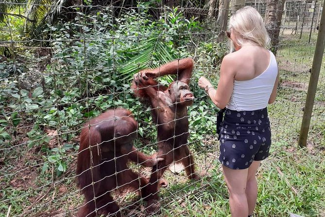 Ipoh & Orang Utan Island Day Tour From Kuala Lumpur - Inclusions