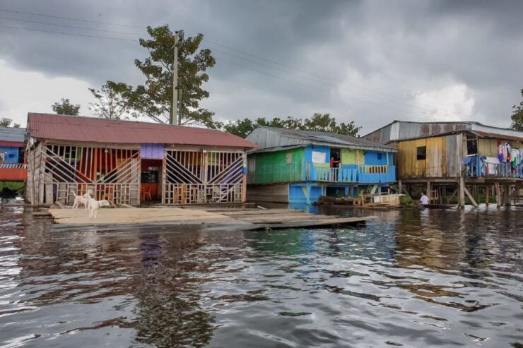 Iquitos: 6-Hour Amazon River Tour W/ Belén & Butterfly Farm - Tour Details