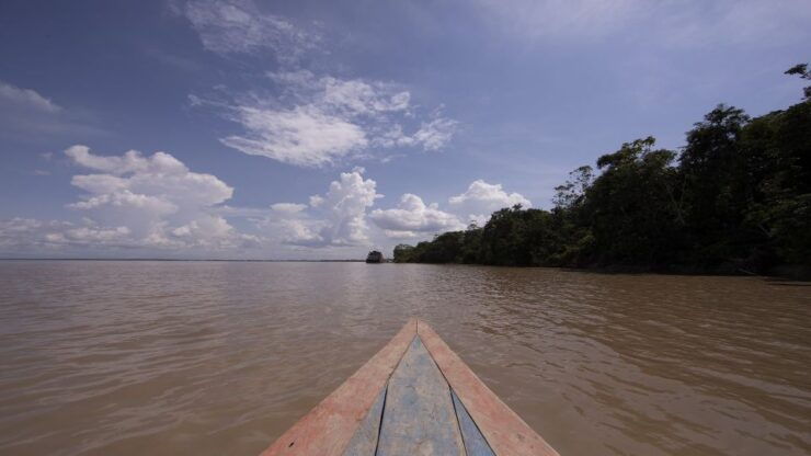 Iquitos: Amazon Fishing Day Tour - Experience Highlights