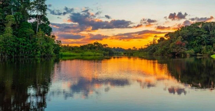 Iquitos: Amazon Jungle in 2 Days: Adventure and Expedition - Day 1: Bora Community and Amazon River