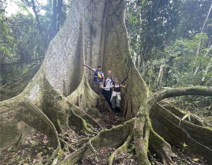 Iquitos: Amazon Jungle Lodge & Adventure 4 Days / 3 Nights - Tour Highlights & Itinerary