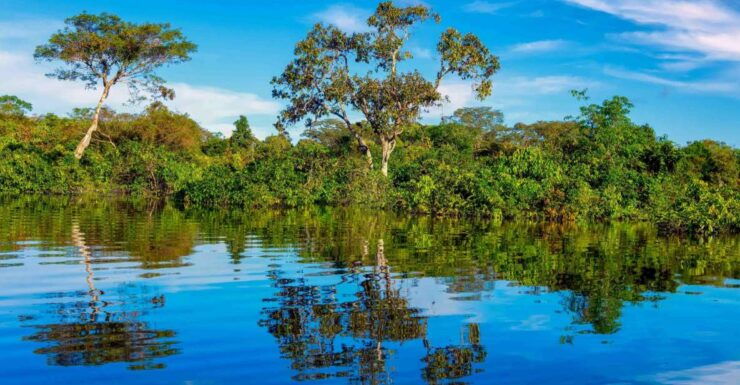 Iquitos: Amazon River Full Day Guided Tour - Tour Details