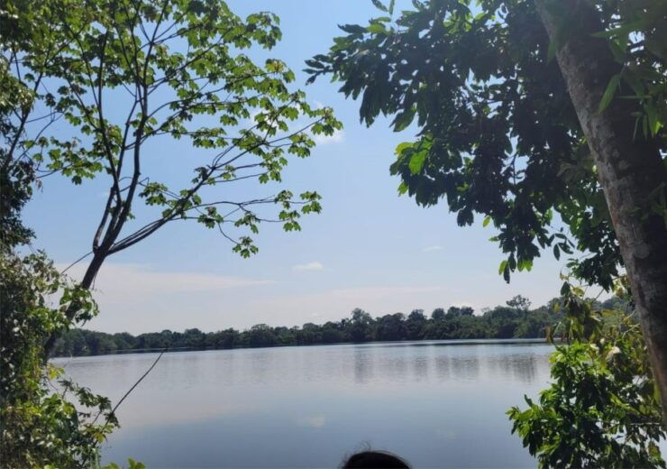 Iquitos: Ayahuasca and Its Curative Power - Ayahuasca: History and Origins