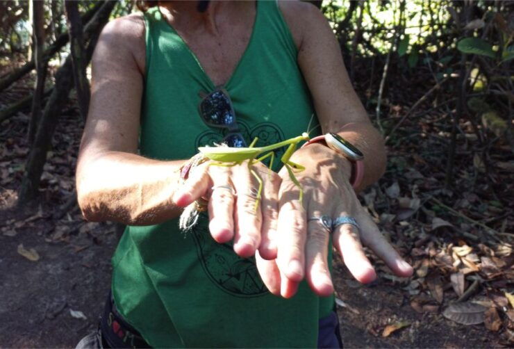 Iquitos: Full Day Exclusive - Activity Details