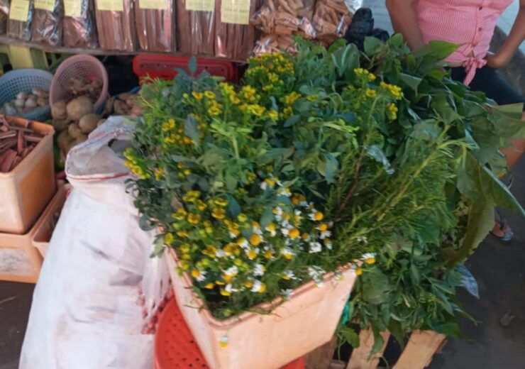 Iquitos: Visit to the Bethlehem Market - Good To Know