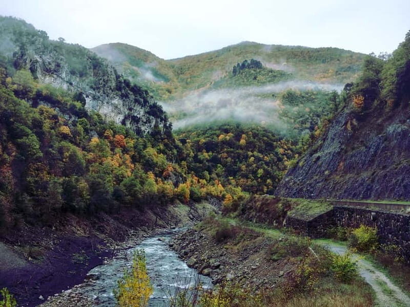 Irati Forest and Ochagavía Excursion - Good To Know