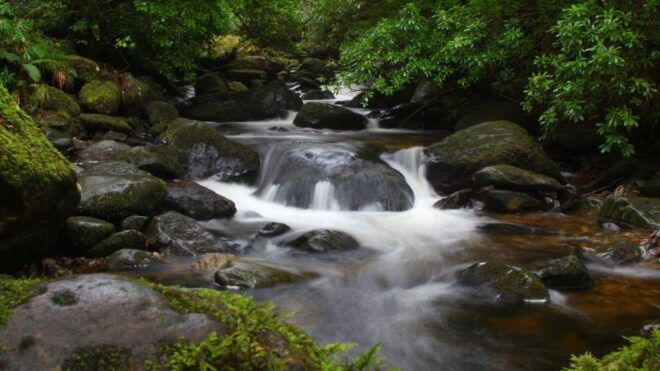 Ireland: 2 Day Wild Atlantic Way Tour - Day 2: Dingle Peninsula - Highlights of the Ring of Kerry - Killarney - Dublin