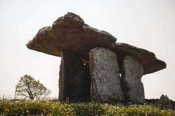 Ireland: 3-Day West Coast Explorer Tour - The Sum Up