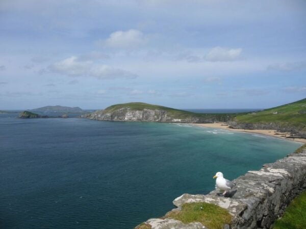 Ireland: 5-Day Escape to the Southwest Tour - Common Questions