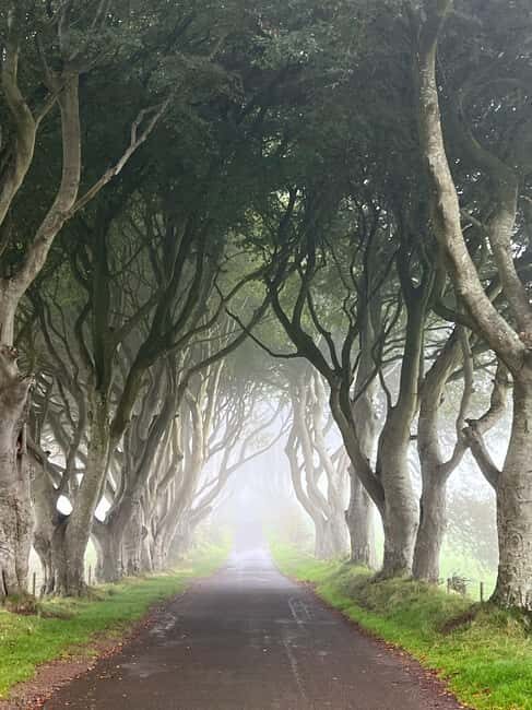 Ireland: Belfast City and Giants Causeway Tour - Good To Know