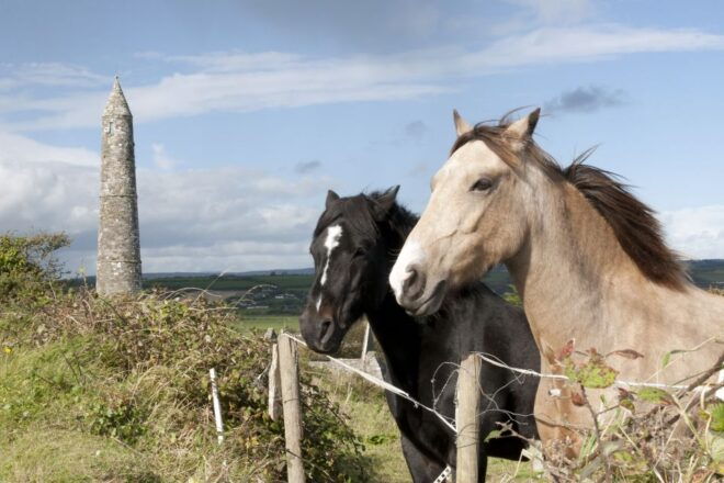 Ireland: Blarney Castle, Kilkenny & Irish Whiskey 3-Day Tour - Day 3 Itinerary