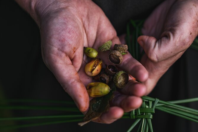 Ireland Guided Woodland Tour in County Wexford  - South East Ireland - The Sum Up
