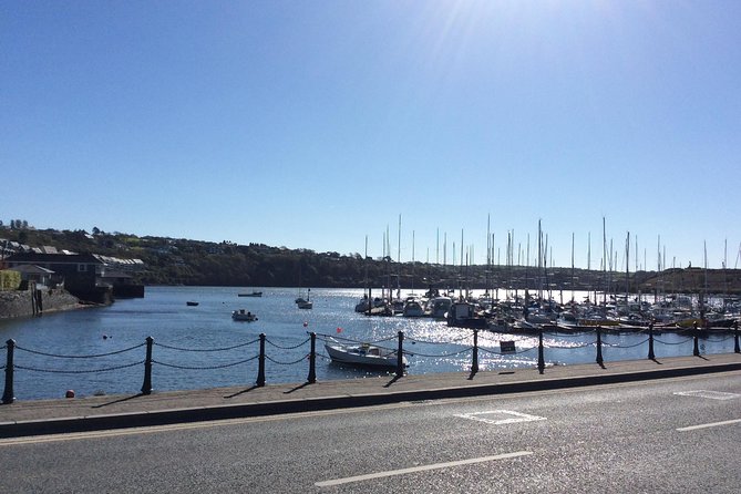 Ireland Private Driver: One Day or Multi-Day  - Dublin - The Sum Up