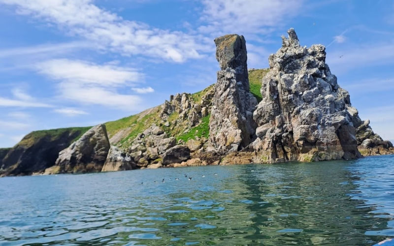 Irelands Eye and Howth Coast boat tour from Dublin - At a glance