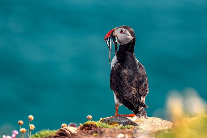 Irelands Eye Tour - Important Reminders