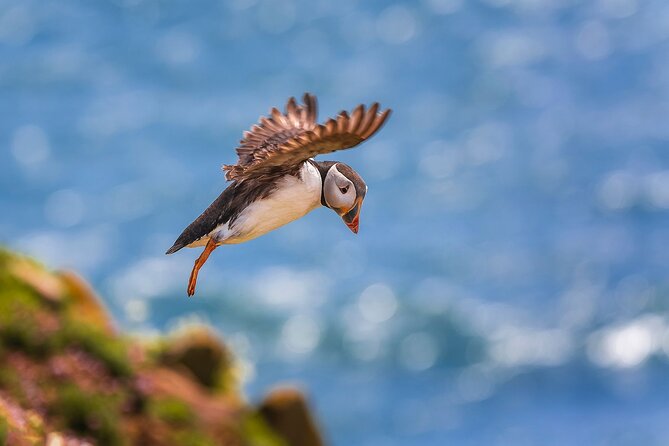 Irelands Eye Tour - How to Book