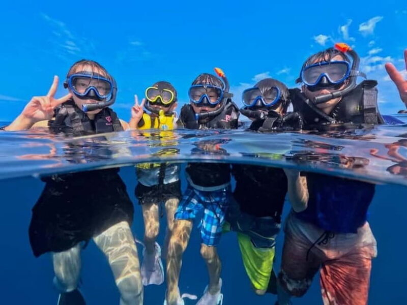 Iriomote: Boat Snorkeling Tour at Barasu Island - What to Expect from the Snorkeling Tour