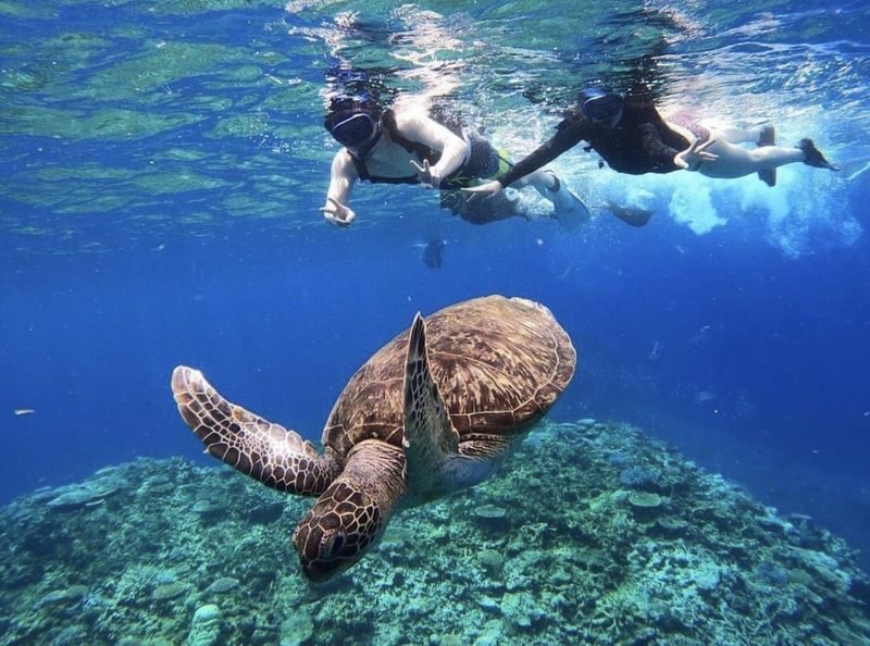 Iriomote Island: Barasu Island Snorkeling & Mangrove SUP or Canoe 1-Day Experience (Okinawa) - At a glance