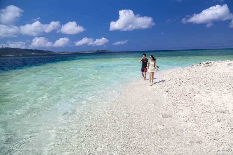 Iriomote Island: Barasu Island Snorkeling & Mangrove SUP or Canoe 1-Day Experience (Okinawa) - Barasu Island, coral, and the limits of wildlife luck
