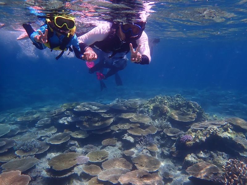 Iriomote Island: Barasu Island Snorkeling & Mangrove SUP or Canoe 1-Day Experience (Okinawa) - Guides, photos, and safety