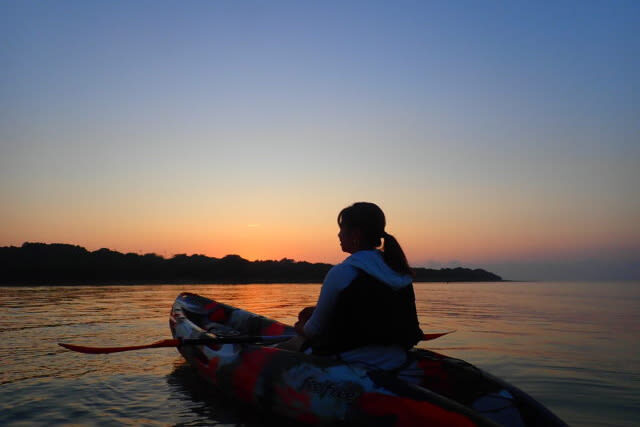 Iriomote Island: Choice of Sunset SUP or Canoe Tour (Okinawa) - SUP or canoe: choose the ride that suits you