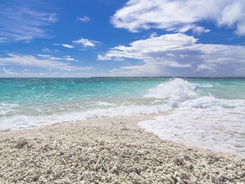 Iriomote Island: Half-Day Barasu Island Boat Snorkeling Experience (Okinawa) - Getting there, changing, and packing