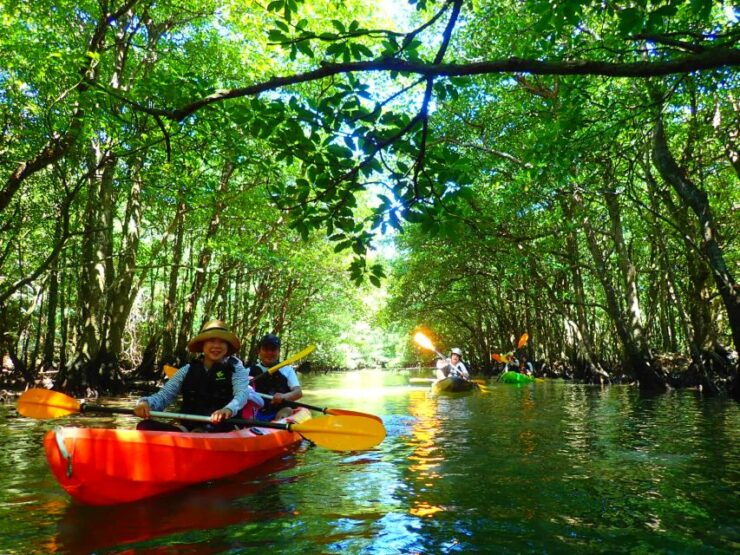 Iriomote Island: Kayaking and Canyoning Tour - Booking and Tour Details