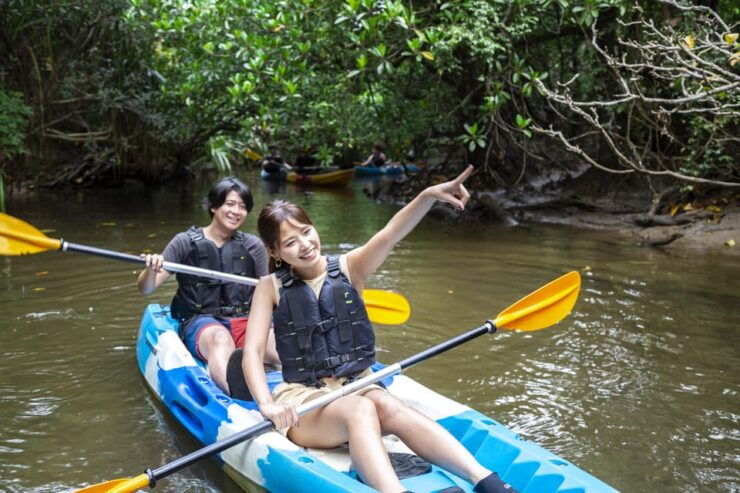 Iriomote Island: Kayaking and Snorkeling Tour - Good To Know
