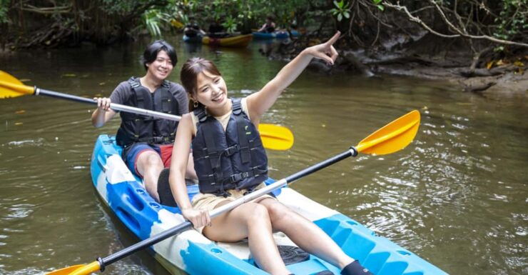 Iriomote Island: Kayaking and Snorkeling Tour - Itinerary Highlights