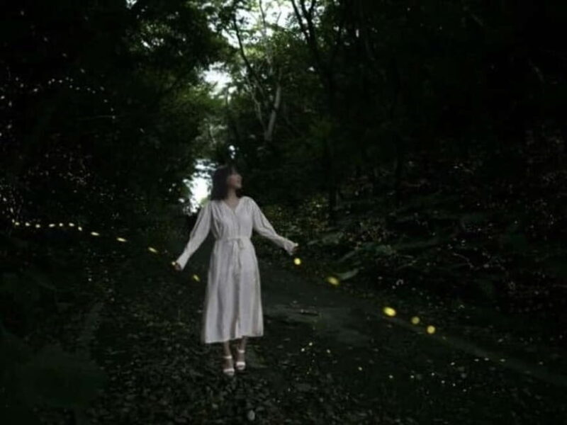 Iriomote Island Limited Time Yaeyama Firefly Viewing Tour - Frequently Asked Questions