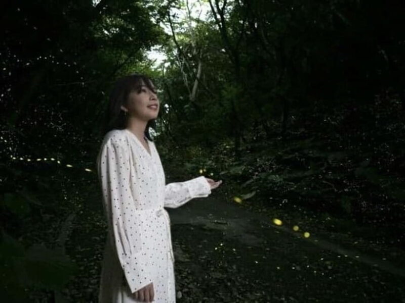 Iriomote Island Limited Time Yaeyama Firefly Viewing Tour - Practical Details: What You Need to Know