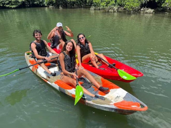Iriomote Island: Mangrove River Canoe Cruising Tour - Unique Ecosystem
