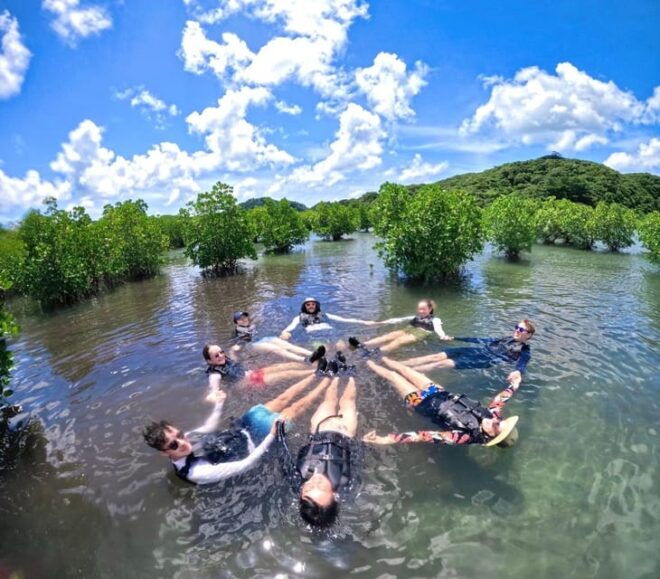 Iriomote Island: Mangrove River Canoe Cruising Tour - Important Information