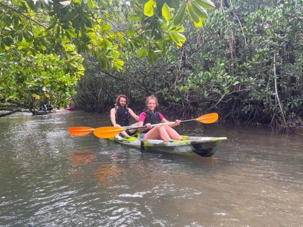 Iriomote Island: Mangrove River Canoe Cruising Tour - Booking and Cancellation