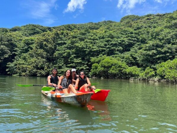 Iriomote Island: Mangrove River Canoe Cruising Tour - What to Expect