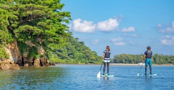 Iriomote Island: Mangrove River SUP Cruising Tour - Frequently Asked Questions